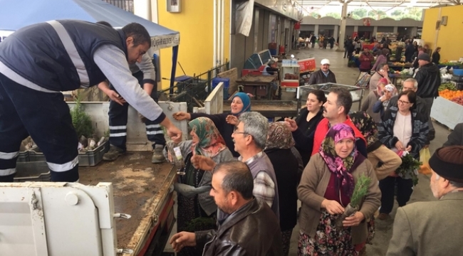 Efeler Belediyesi vatandaşlara mazı fidanı dağıttı