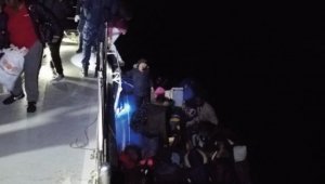 Davutlar'da 42 kaçak göçmen yakalandı