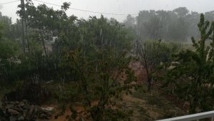Aydın ve İzmir'de etkili yağış