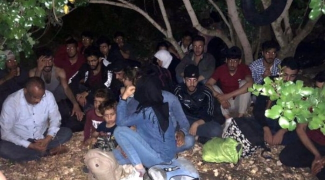 Didim'de 107 kaçak göçmen yakalandı