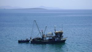 Didim'de balıkçılar denize açıldı