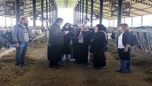 Aydın'da kadın çiftçiler hayvan çiftliğini gezdi