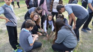 Didim'de liseli öğrenciler okullarına zeytin fidanı dikti