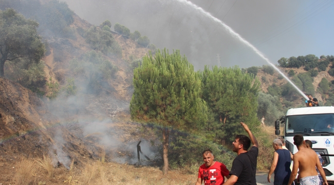 Aydın’daki yangın kontrol altına alındı, soğutma çalışmaları devam ediyor