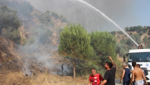 Aydın’daki yangın kontrol altına alındı, soğutma çalışmaları devam ediyor