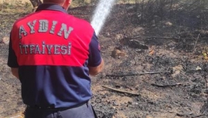  Karacasu’da evleri tehdit eden yangını Büyükşehir itfaiyesi söndürdü
