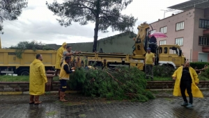  Aydın Büyükşehir Belediyesi ekiplerinden fırtınaya hızlı müdahale