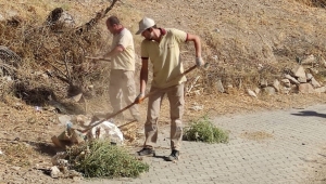 Nazilli Belediyesi ekipleri daha temiz Nazilli için çalışmalarını sürdürüyor