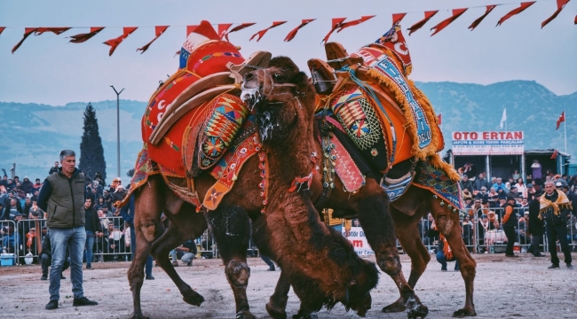 Deveci Başkan'dan yeni yılın ilk deve güreşine davet