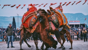 Deveci Başkan'dan yeni yılın ilk deve güreşine davet