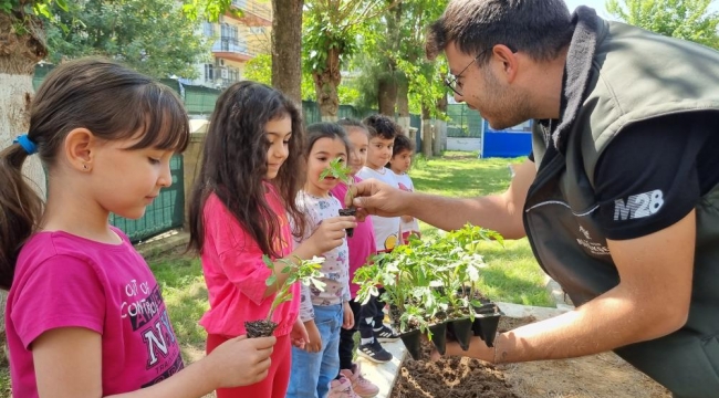  Aydın Büyükşehir Belediyesi'nin Ata Tohumları Projesi çocukların ellerinde büyüyor