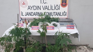 Aydın'da bir haftada 59 şüpheliye uyuşturucudan işlem yapıldı
