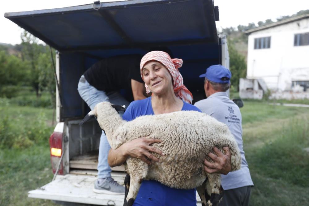 Başkan Çerçioğlu koyunları telef olan kadın çobanın gözyaşlarına dayanamadı yardım etti