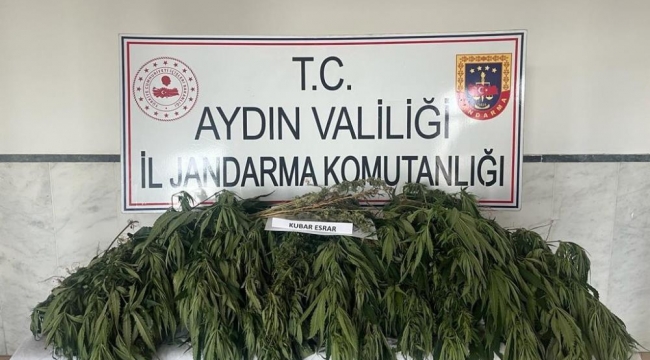 Aydın'da uyuşturucu ile mücadelede bir haftada 2 kişi tutuklandı