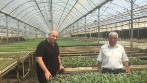  Efeler Belediyesi’nden Kıbrıs'ta tarımsal üretim fabrikası