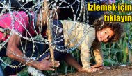 Macaristan'da mülteciler kamptan firar etti